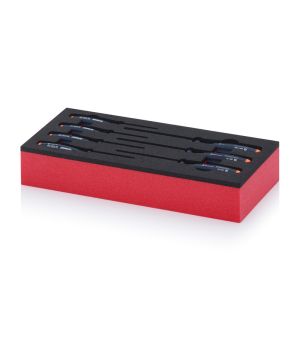 Schaumstoffeinsatz mit Torx TB SE WT